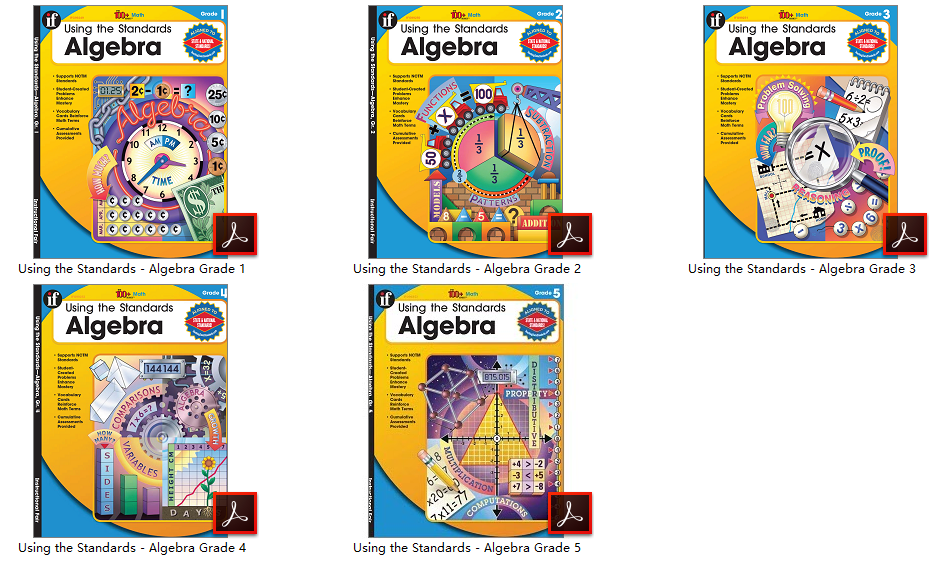 Using the Standards Algebra 内页截图
